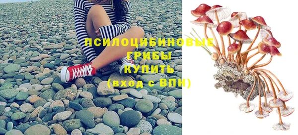 дурь Каменногорск