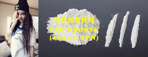 стафф Каменка