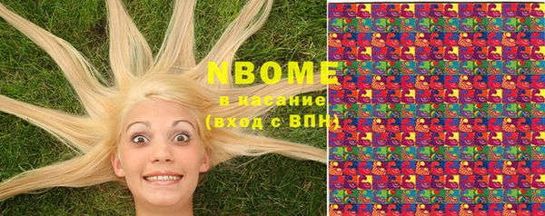 стафф Каменка