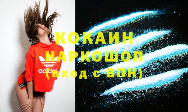стафф Каменка