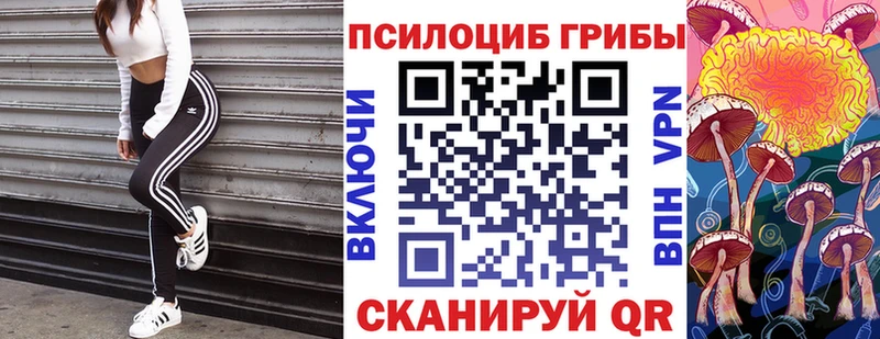 Купить  Зеленогорск  Галлюциногенные грибы мухоморы 
